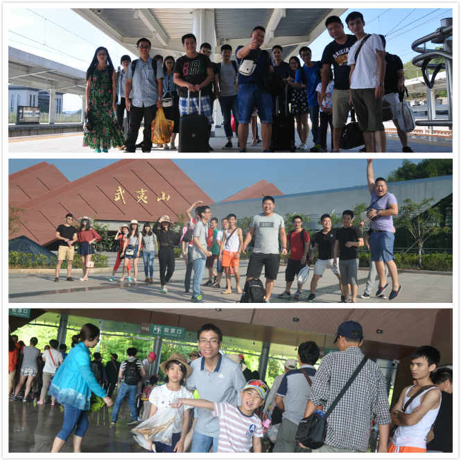 mg不朽情缘官网精密团队